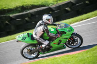 brands-hatch-photographs;brands-no-limits-trackday;cadwell-trackday-photographs;enduro-digital-images;event-digital-images;eventdigitalimages;no-limits-trackdays;peter-wileman-photography;racing-digital-images;trackday-digital-images;trackday-photos